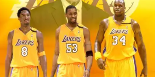 蓝鲸体育-如果麦蒂替科比去搭档鲨鱼？